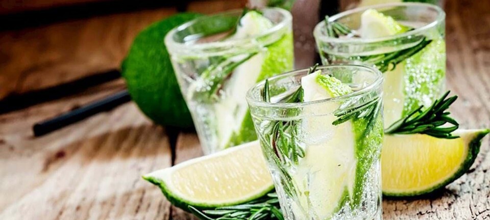 Stor gin-festival kommer til København