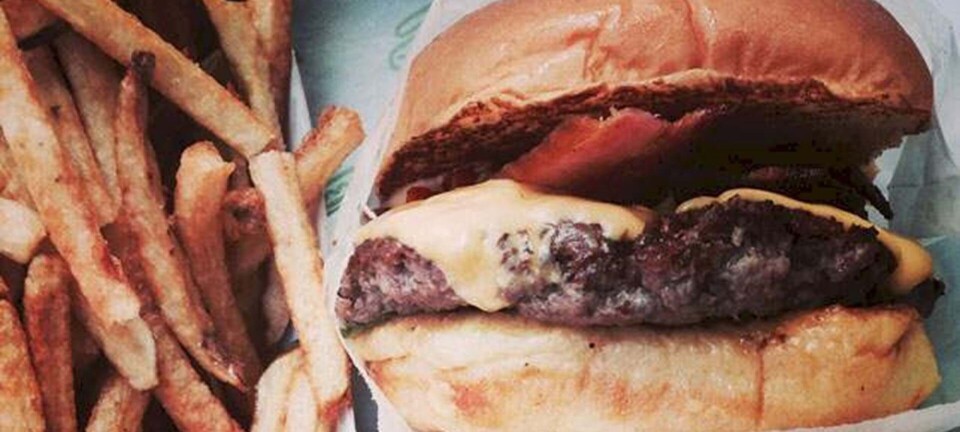 New York: 5 madoplevelser, du ikke må misse