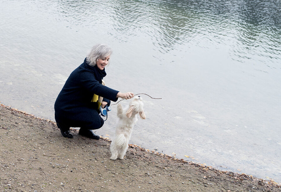 Lise Toftild