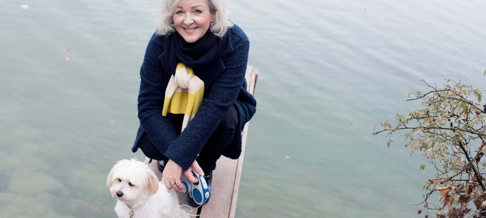 Det store hundeleksikon: Derfor er hunde de perfekte efternølere