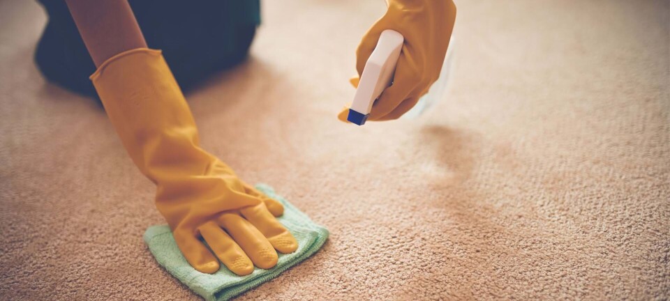 Guide: 7 tips til rensning af tæpper