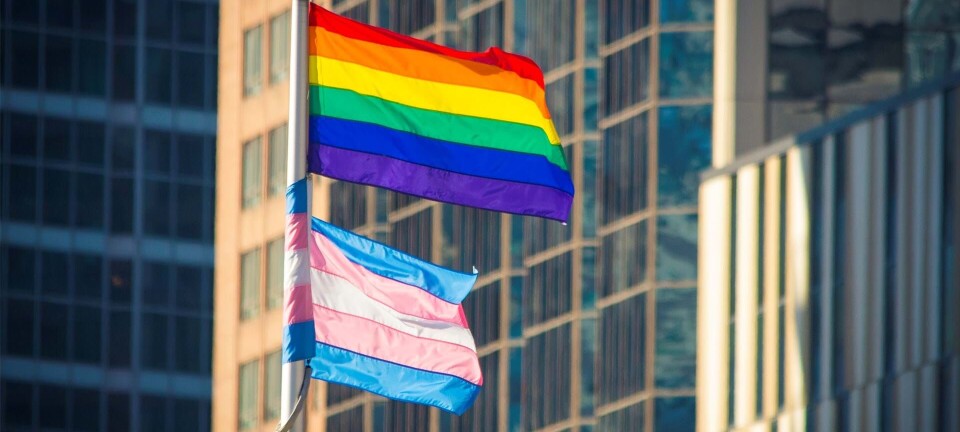 Regnbueflaget vajer, men er det pink-washing eller ægte Pride-kærlighed?