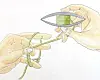Ringe