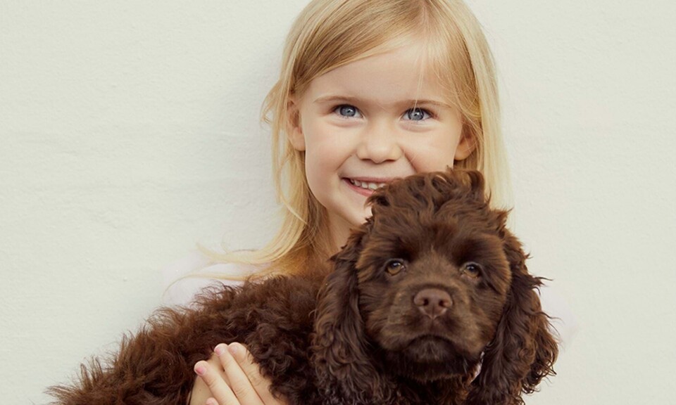 Hailey og hund