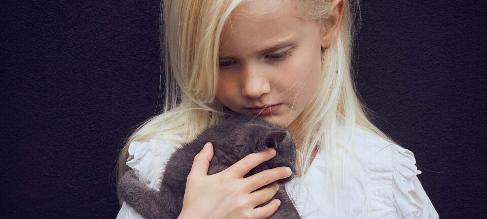 Skal du have kat? Vi har spurgt en 7-årig, hvorfor det er fedt med en katteven