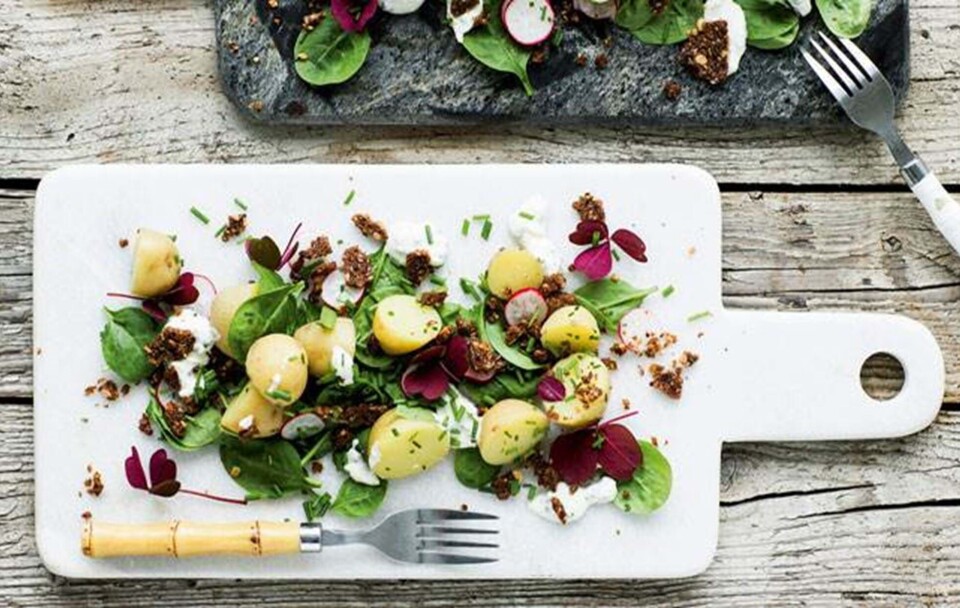 Kartoffelmad forklædt som salat
