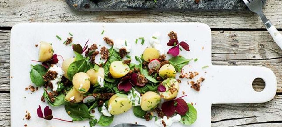 Kartoffelmad forklædt som salat