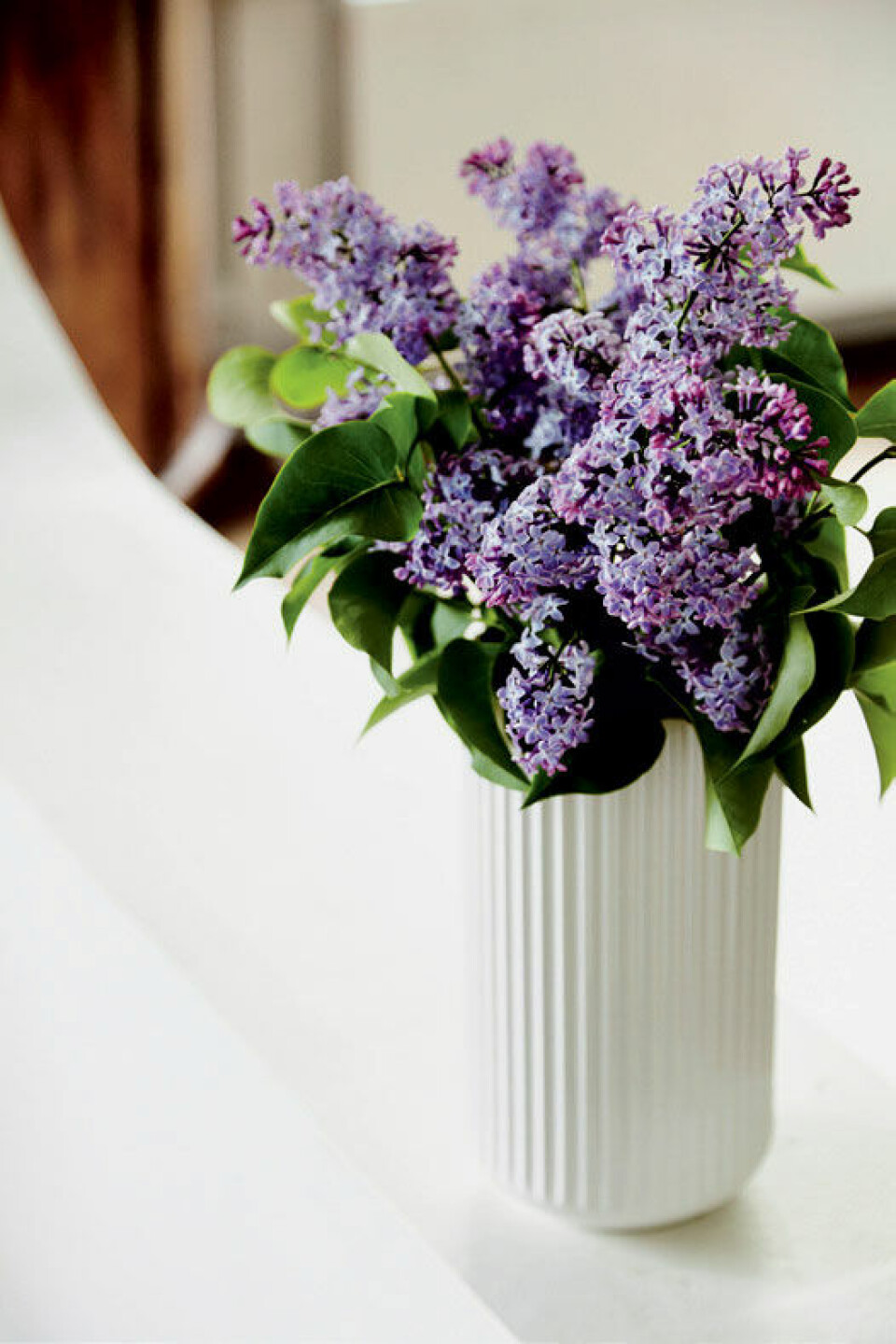 Vase.jpg