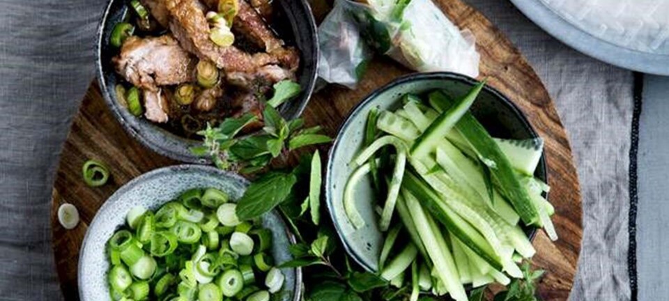 Peking-and med agurk, forårsløg og mynte