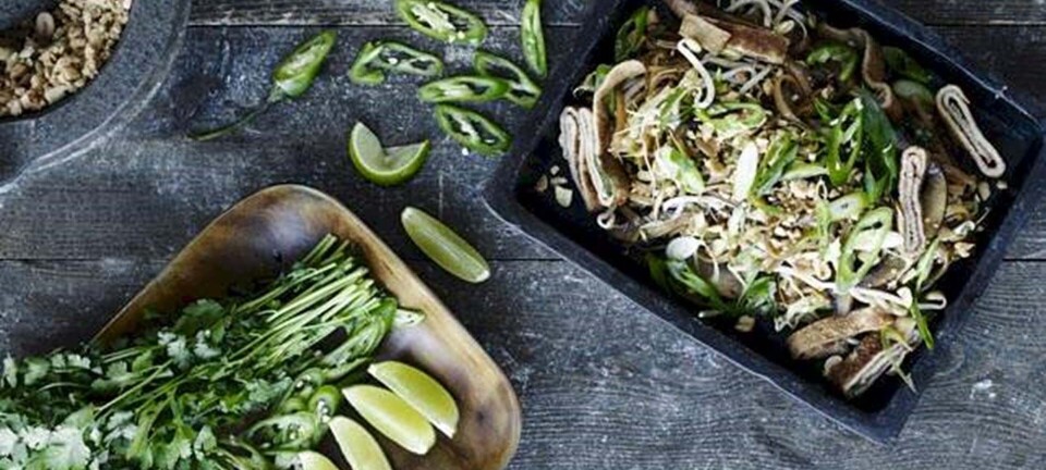 Stegte nudler med kål og svampe