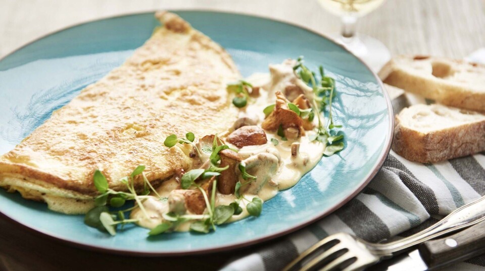omelet med kantareller
