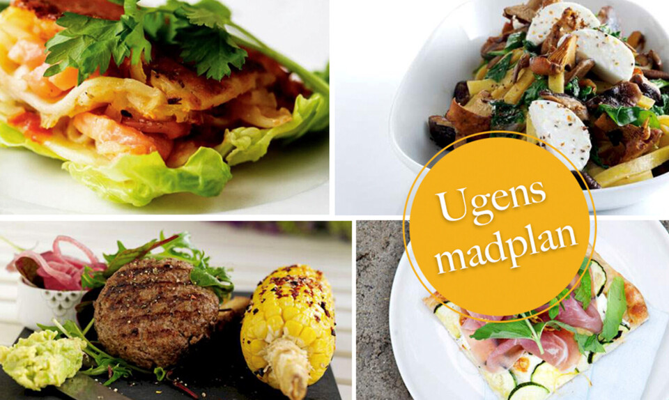 Madplan til hele ugen