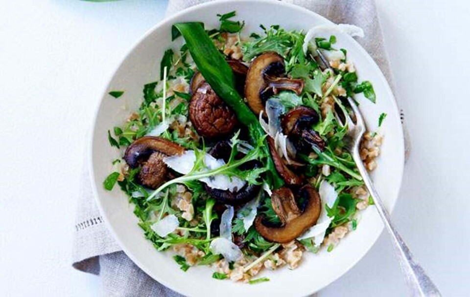 Opskrift på perlespelt-otto med svampe og sprød salat