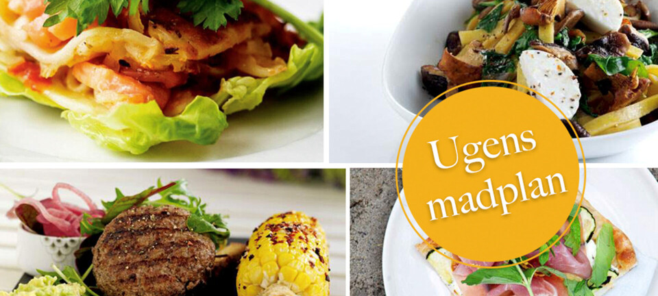 Nem tærte, lasagne med laks og burger med avocado-topping: Her er ugens madplan til dig