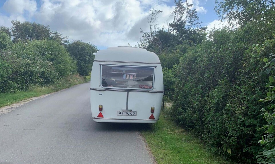 camping med børn