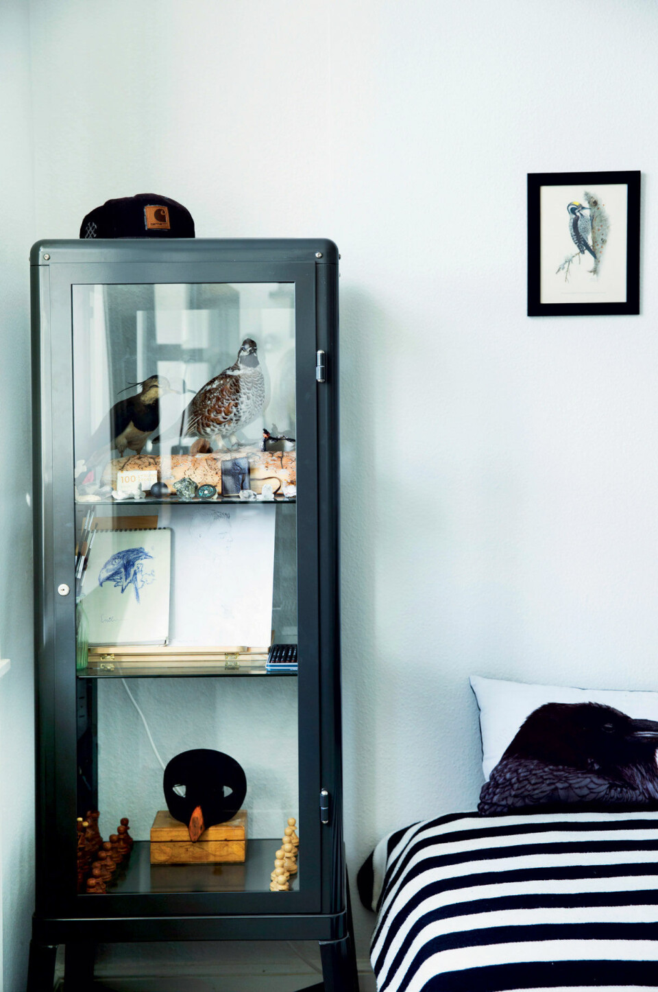 Vitrine.jpg