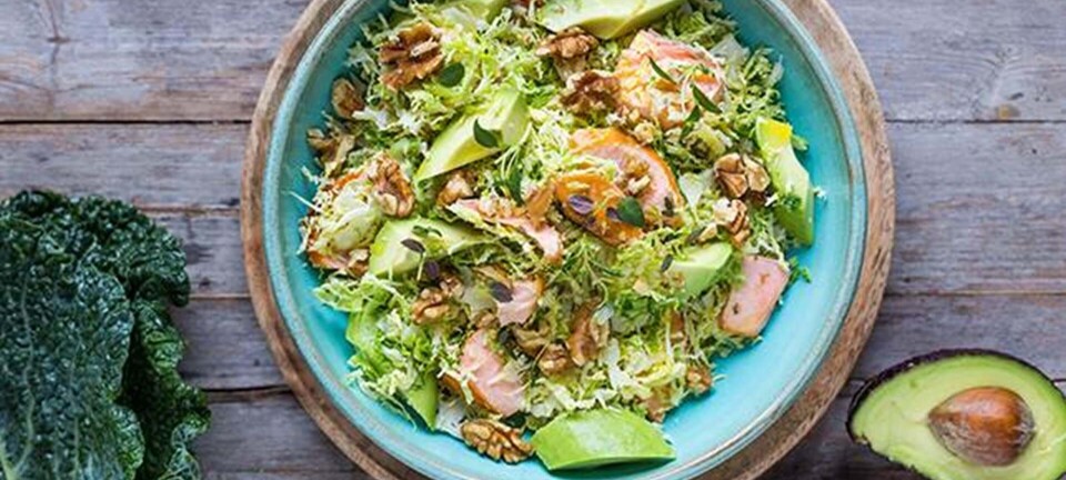 Salat med savojkål, laks og avokado