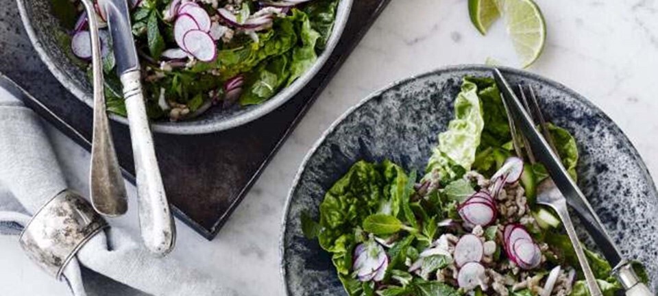 5 simple sommerretter - der er hurtige at lave
