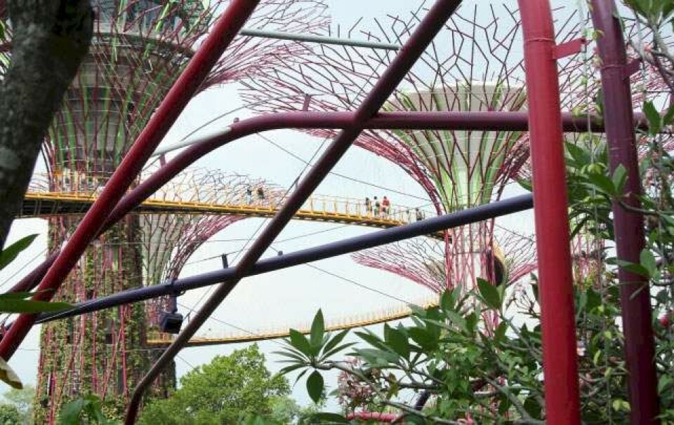 5 seværdigheder i Singapore