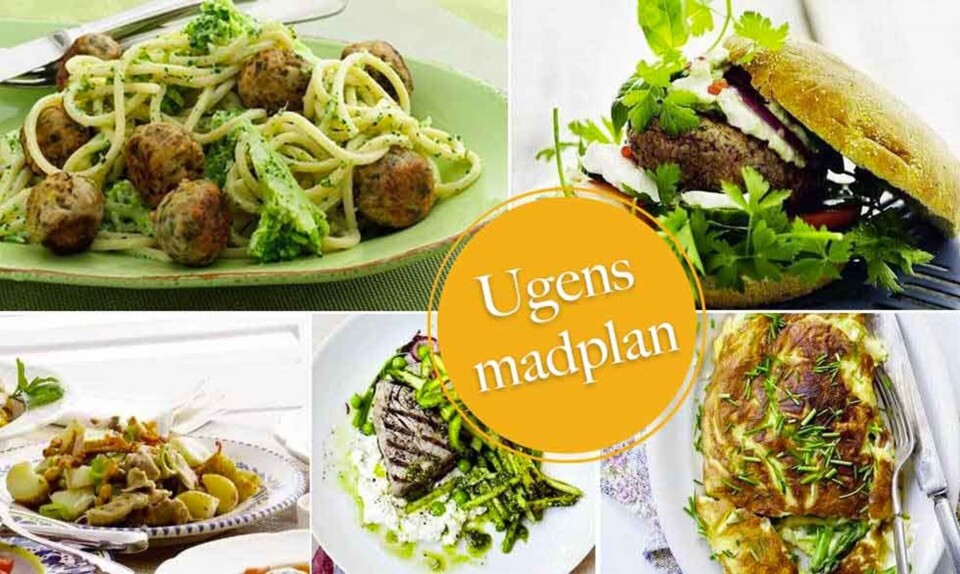 Madplan med nem aftensmad