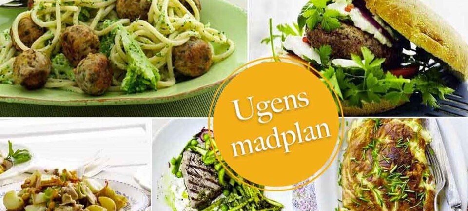 Lækre burgere, nem omelet & skønne citronfrikadeller: Her er ugens madplan til dig!