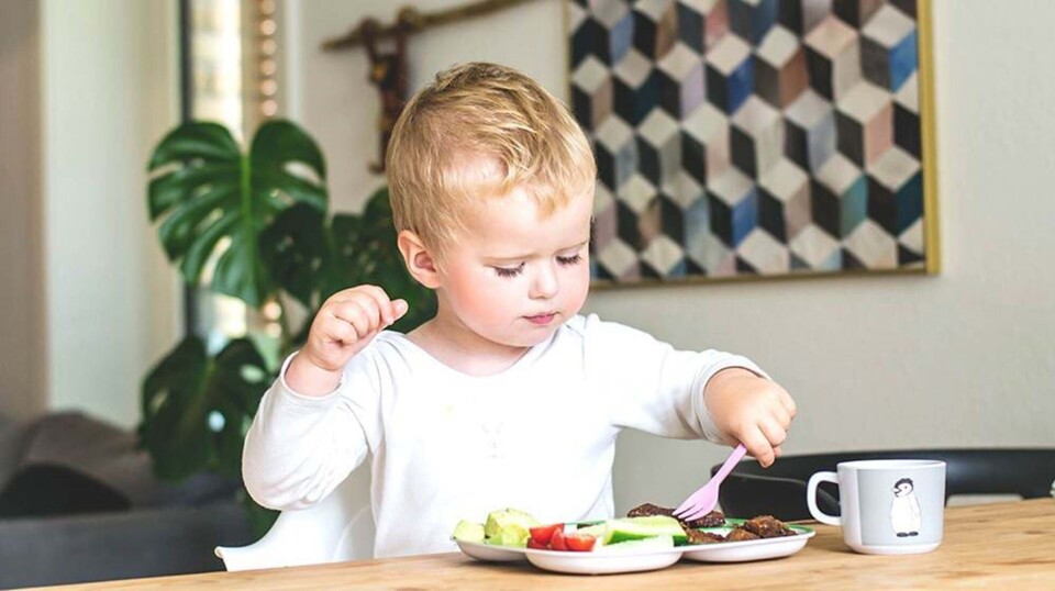 Vegetar eller veganer