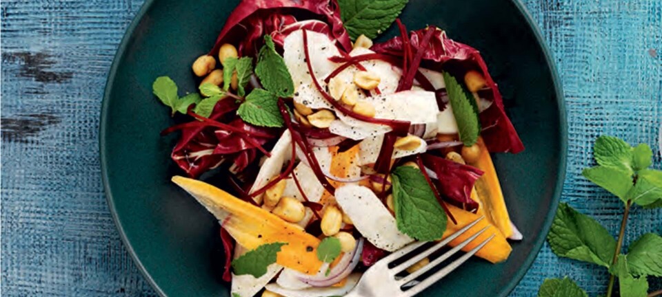 Crudité af rødder med mynte og peanuts