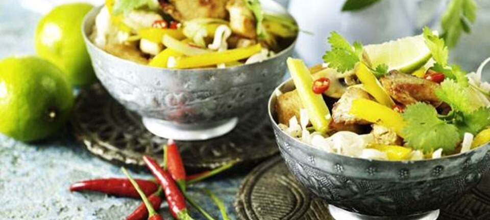 Kylling med peberfrugter