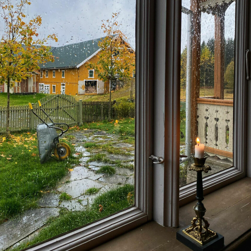 vinter-have-regn.jpg
