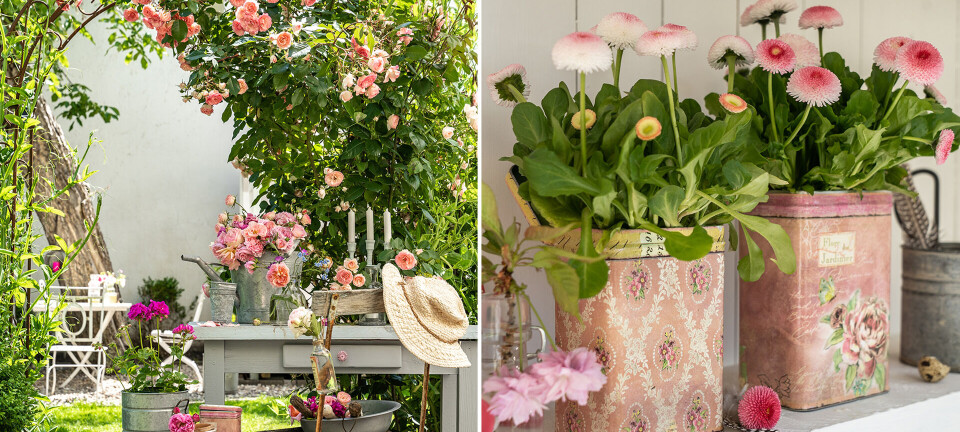 Rosenloft og fine dåser: Se 10 søde idéer til din sommerhave