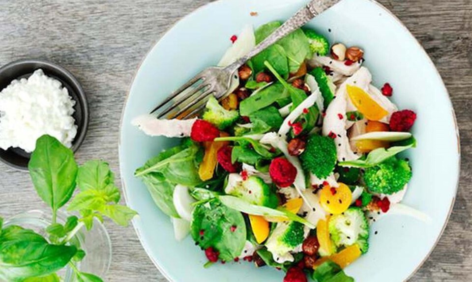 sund kyllingesalat