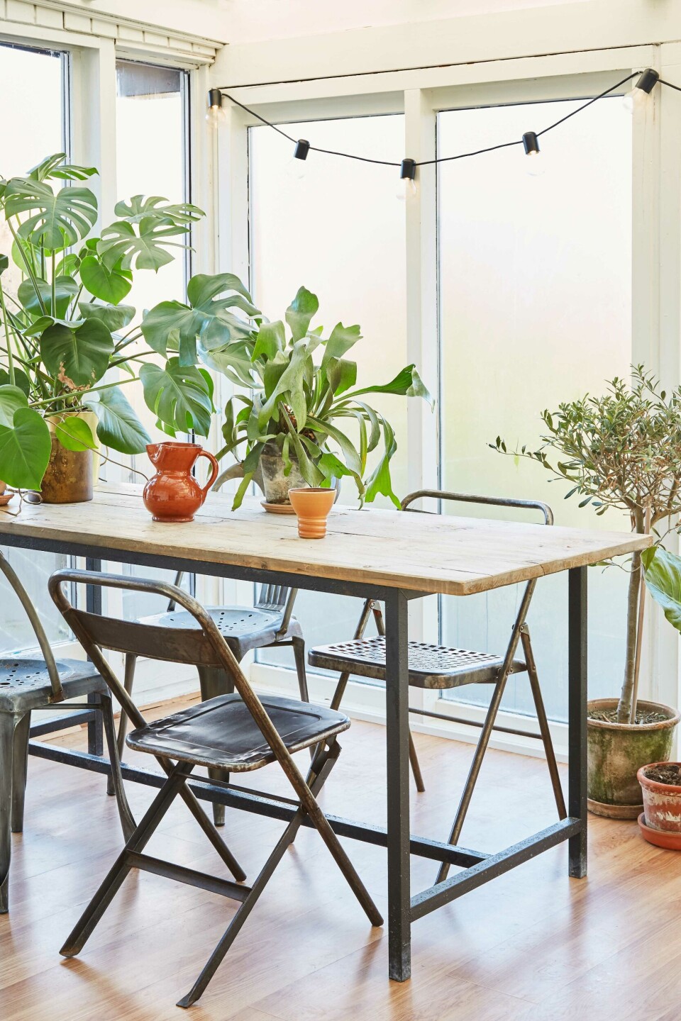 Vinterhave med grønne planter og stemning.