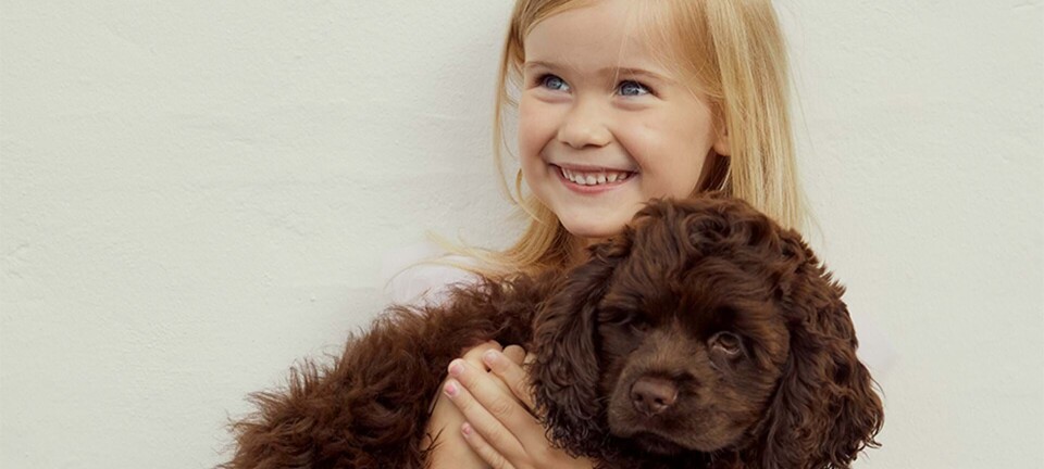 5-årige Hailey: Her er det vigtigste, når man har en hund