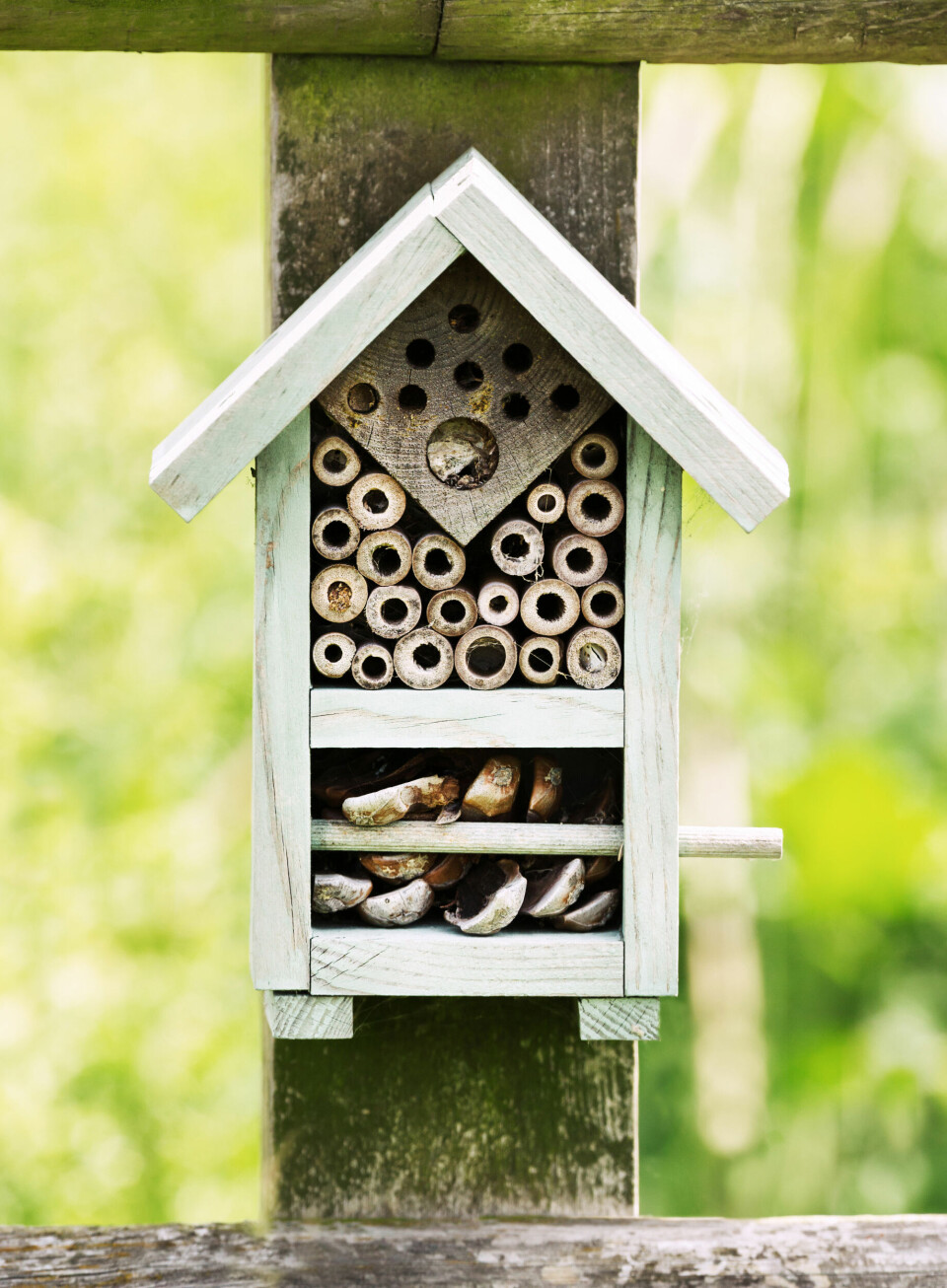 Lille insekthotel