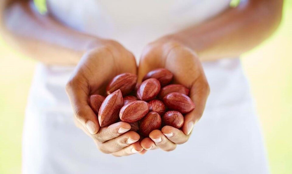 Guide til sunde nødder: Hasselnødder, cashew & mandler