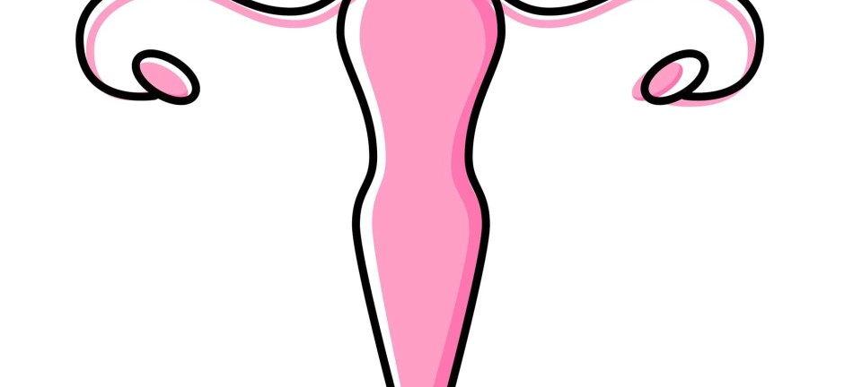 377 kvinder dør årligt af den: ”Det er en overset og underprioriteret kræftform”