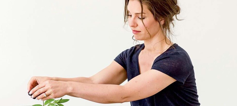 Sense kost: Slank med fornuft - sådan gør du