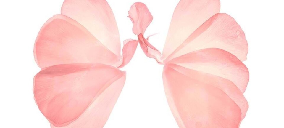 Fokus på vejrtrækning: Sådan trækker du vejret rigtigt