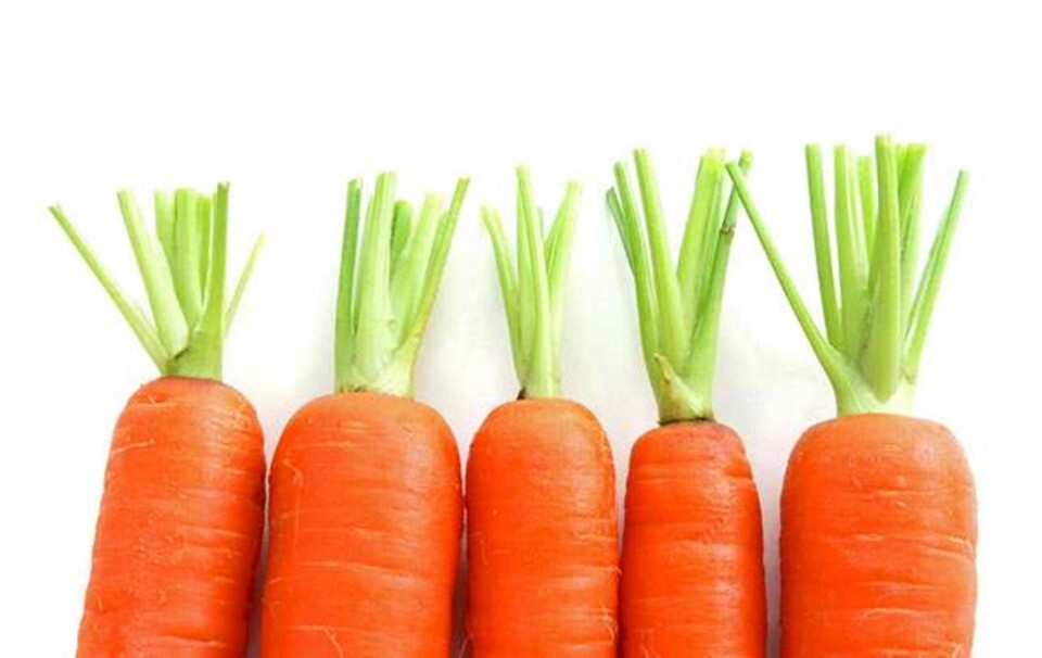 Mange vitaminer går tabt, når man opvarmer sin mad