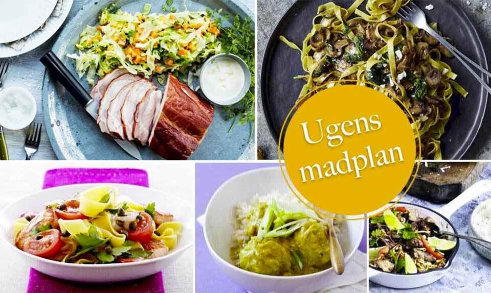 Madplan med nem aftensmad