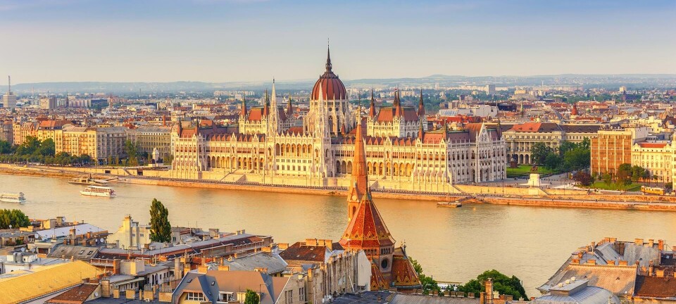 Termiske bade og billig gourmet: Det skal du opleve i smukke Budapest