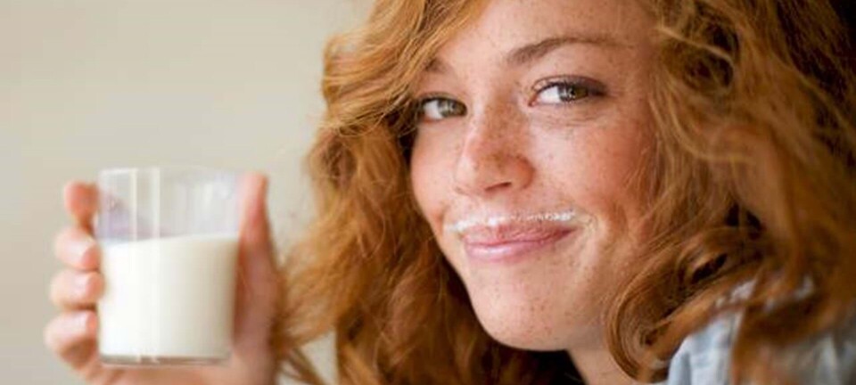 Sådan påvirker det din krop, når du drikker mælk