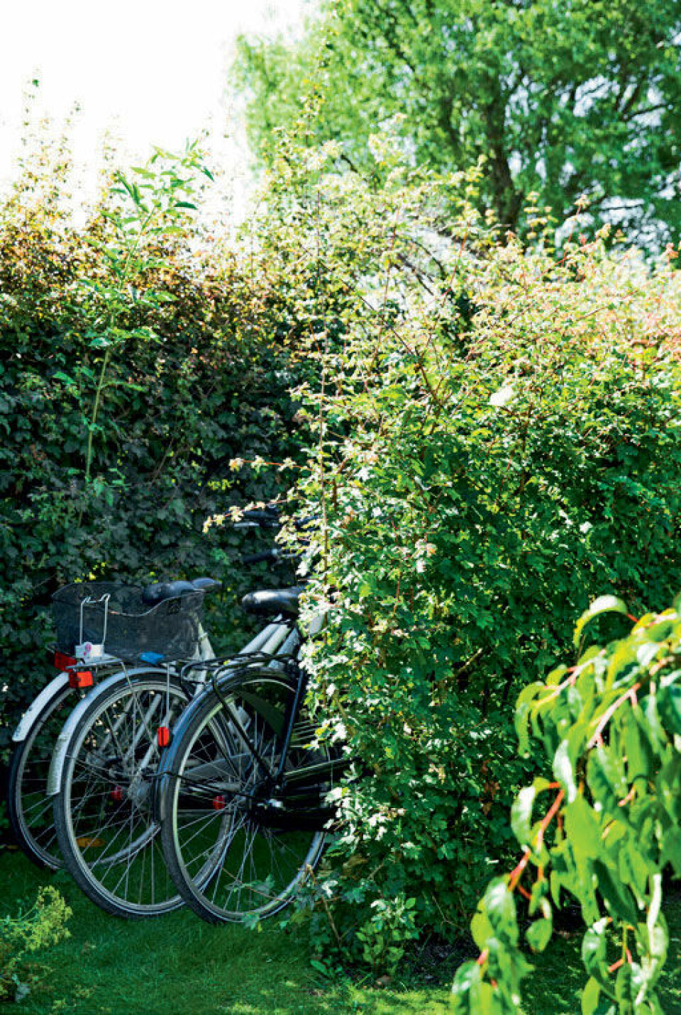 Cykelstativ.jpg