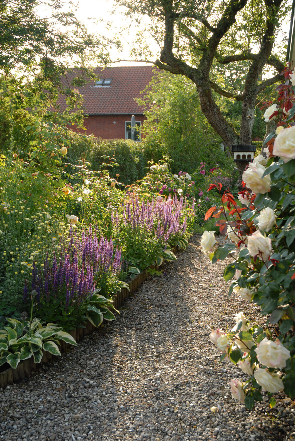 blomster-sti.jpg