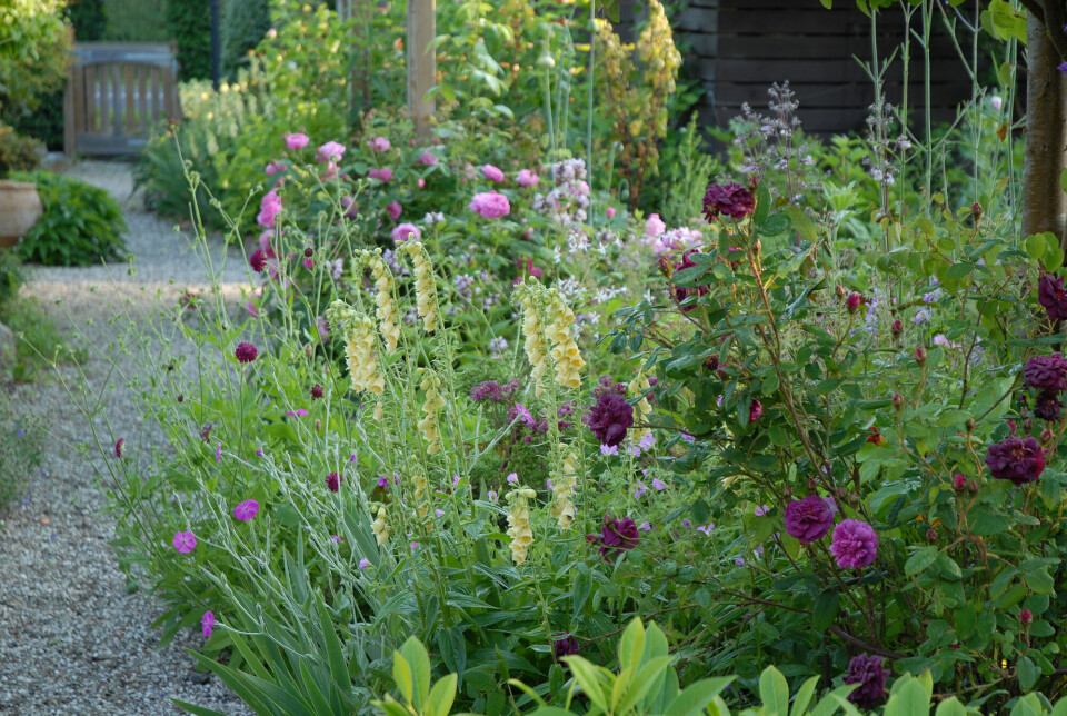 gronne-blomster.jpg
