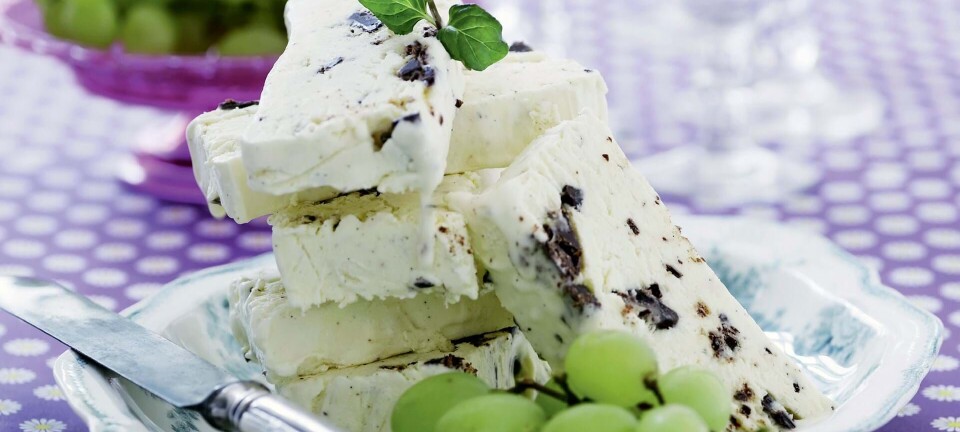 Hjemmelavet is med skildpadder - på den nemme måde