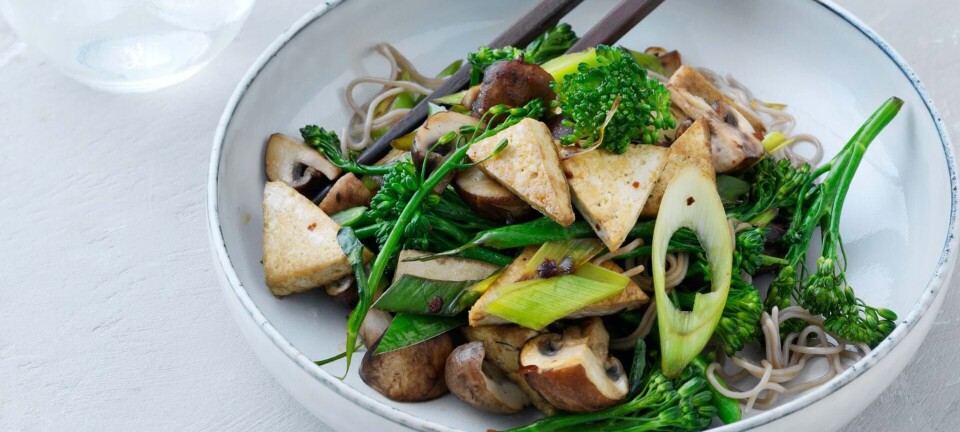Sund og nem nudelsalat med tofu