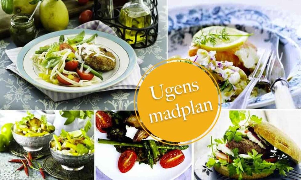 Madplan med nem aftensmad