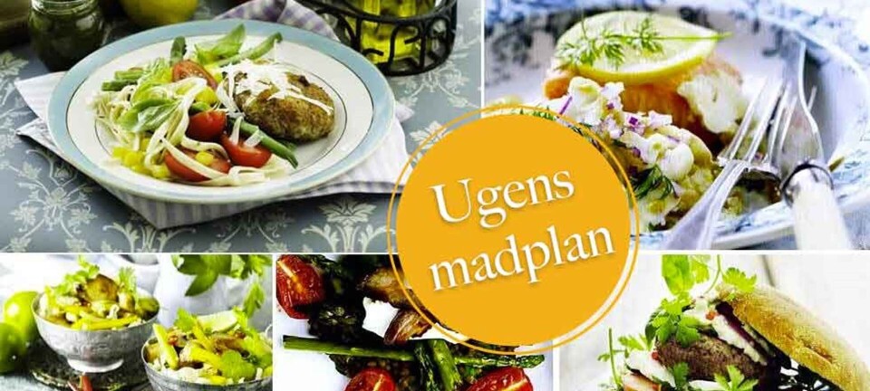 Citronbagt laks, lækre burgere med avocado & italienske krebinetter: Her er ugens madplan til dig