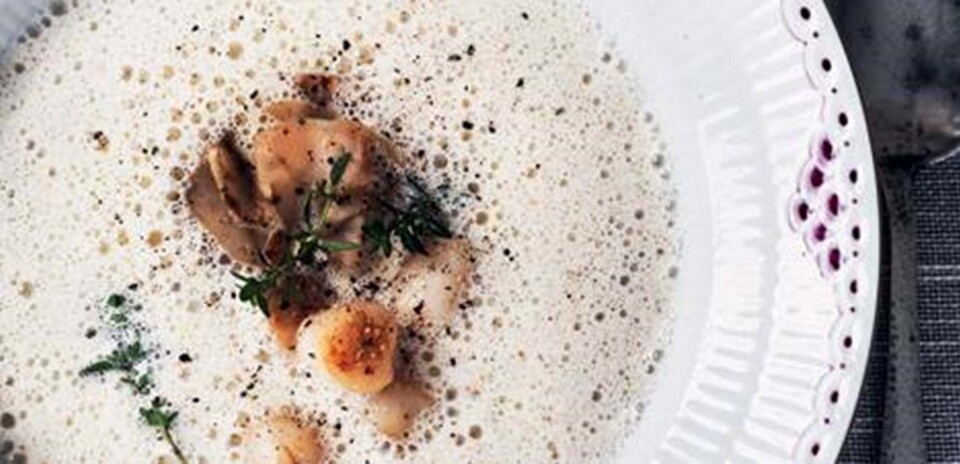 Skummende suppe med ristede hasselnødder, små kammuslinger og jordskokker